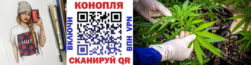 Шишки марихуана OG Kush  магазин продажи наркотиков  Холмск 